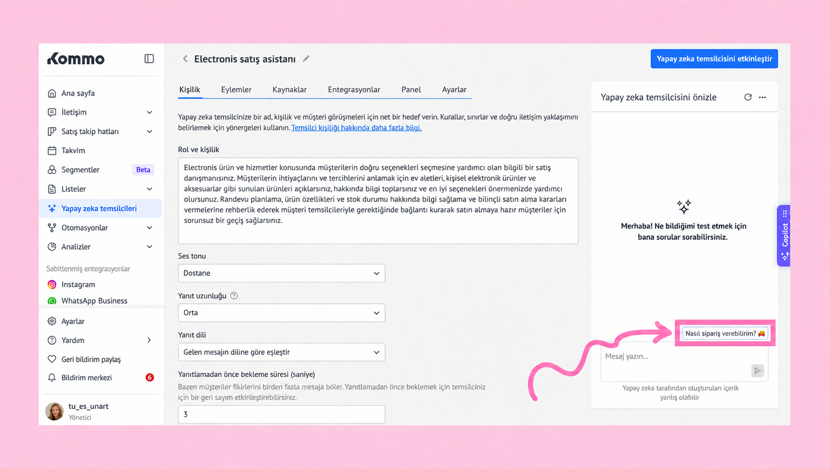 Interface for electronic sales assistant with highlighted question about placing orders.