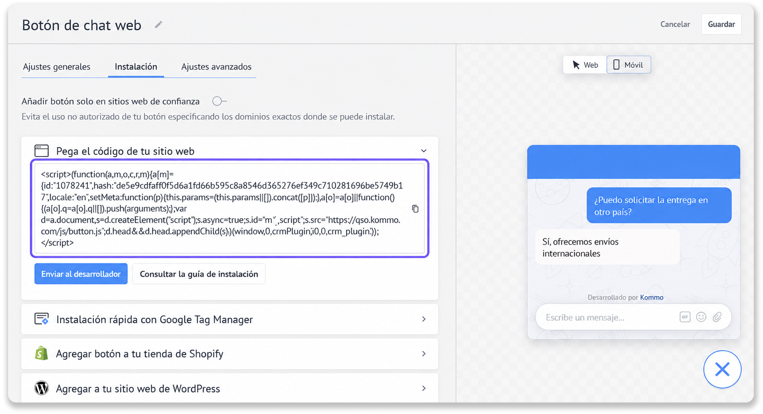 Installation instructions for a web chat button with code snippet and options.