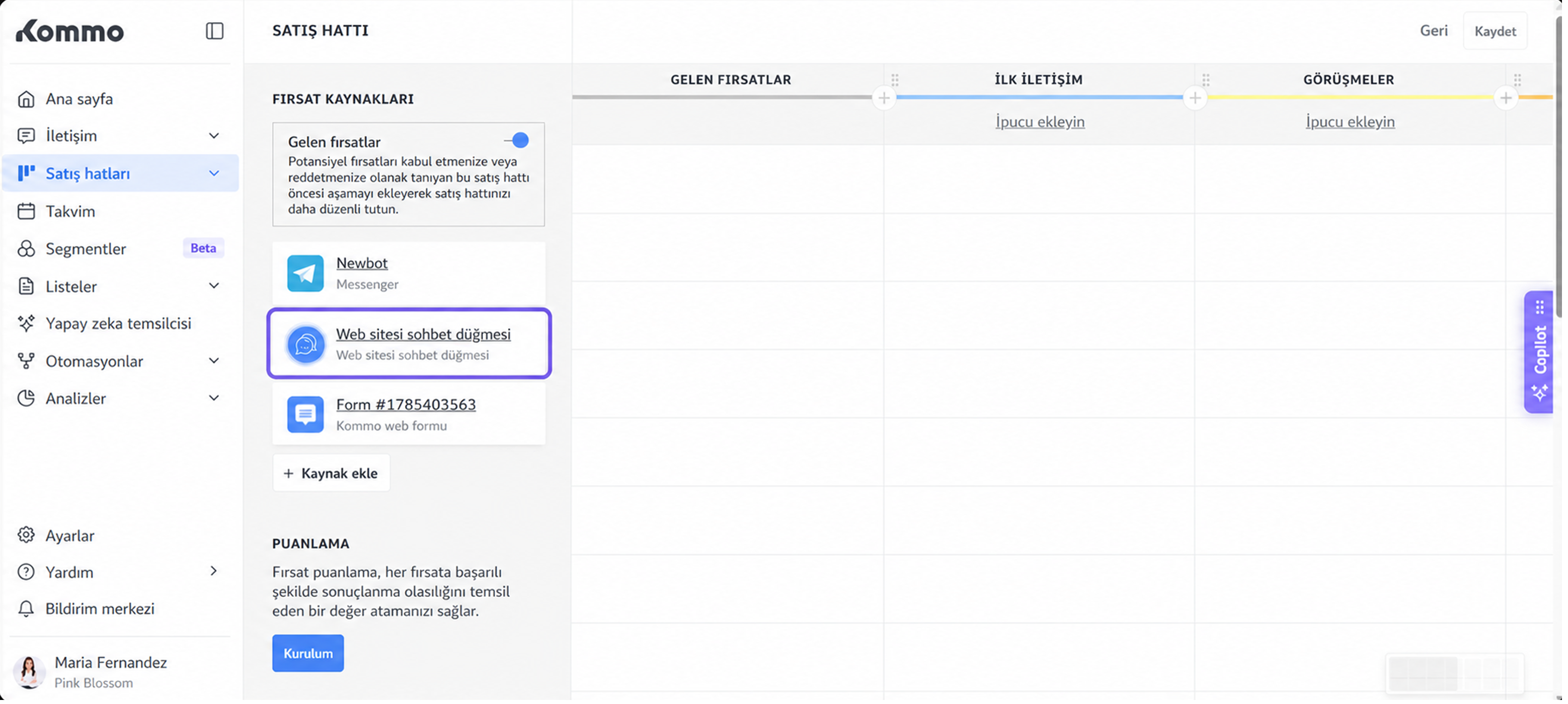 The interface displays sales channels and highlights the website chat button option.