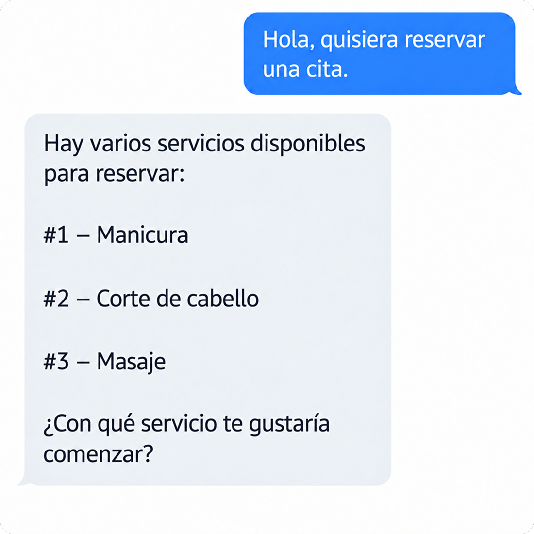A message discussing available services for booking appointments, including manicure and massage.