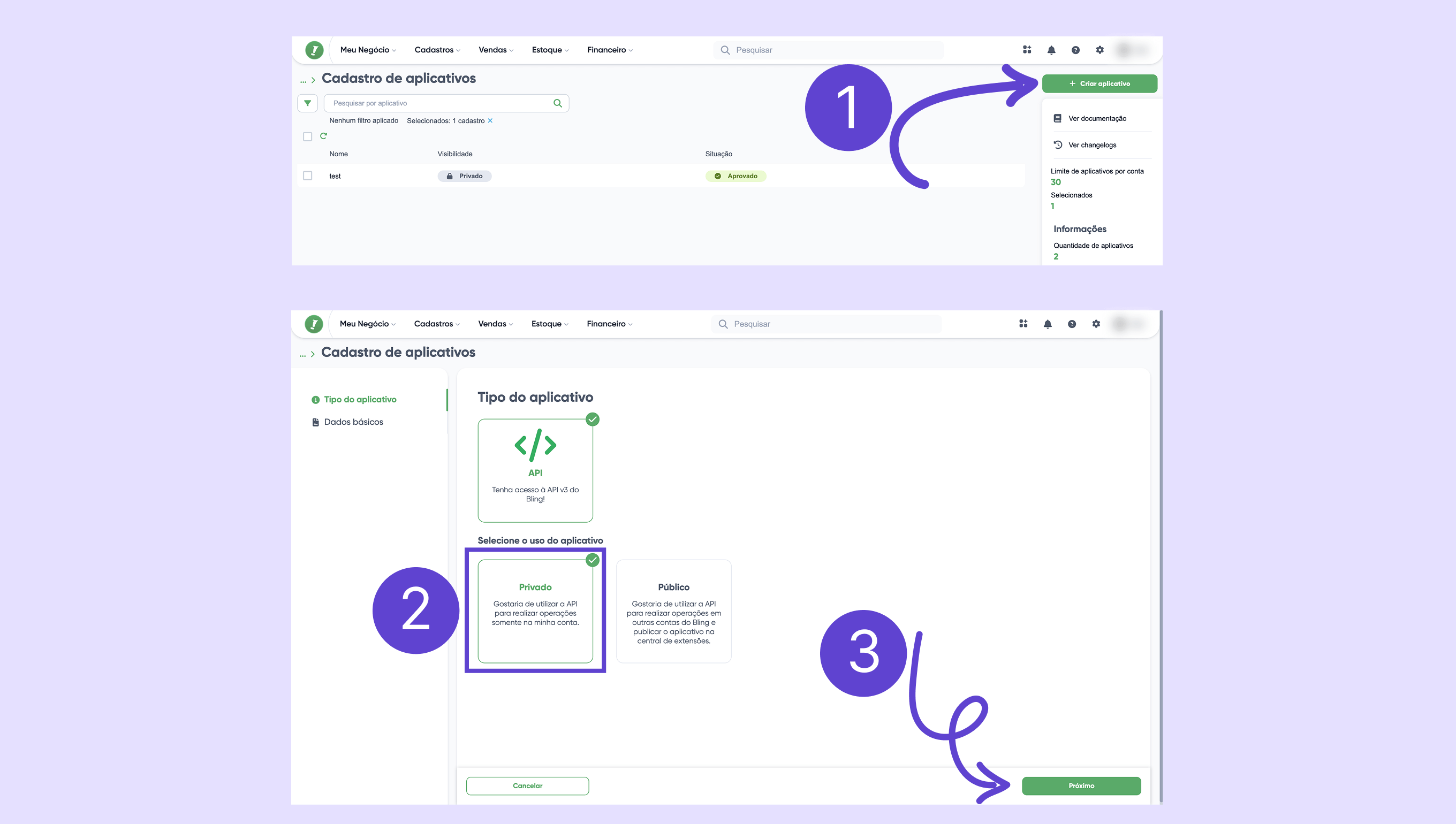 Steps to register an application, highlighting API selection and privacy options.