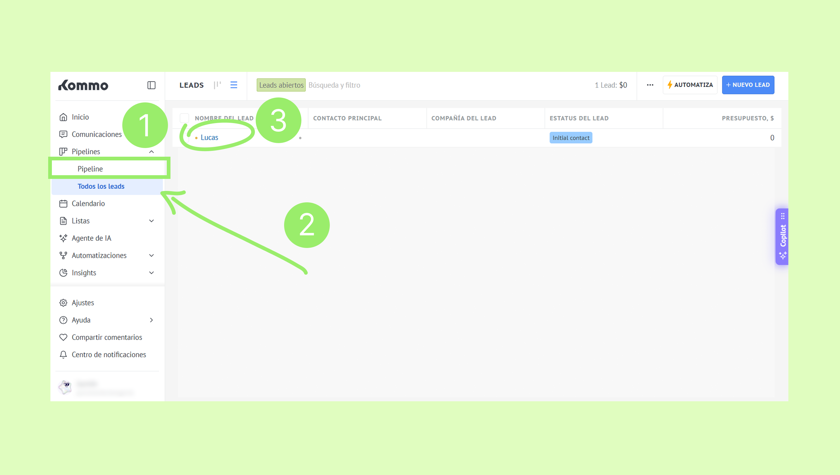 Navigating the leads section with highlighted options for managing leads effectively.