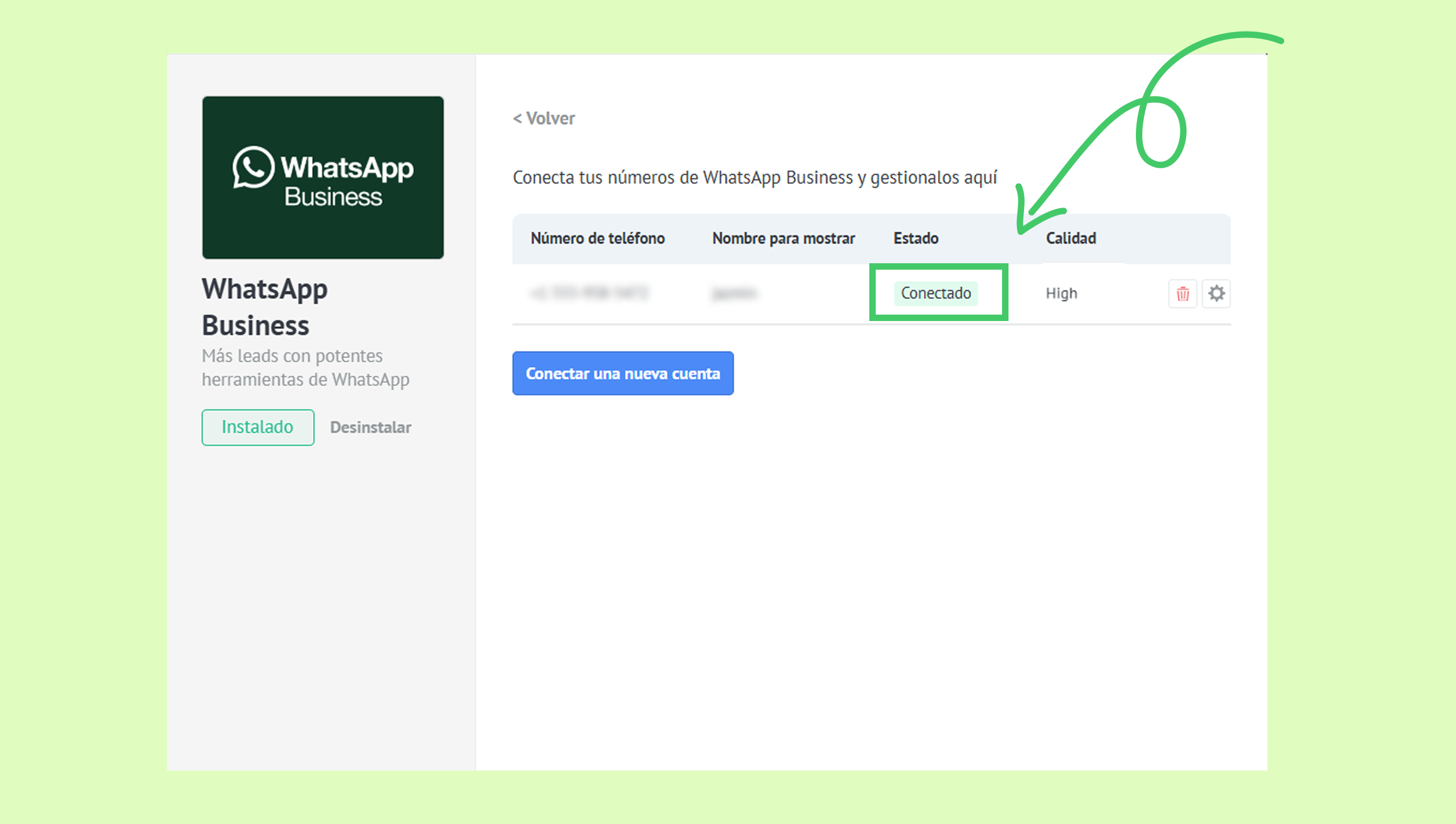 WhatsApp Business interface showing connected status and account management options.