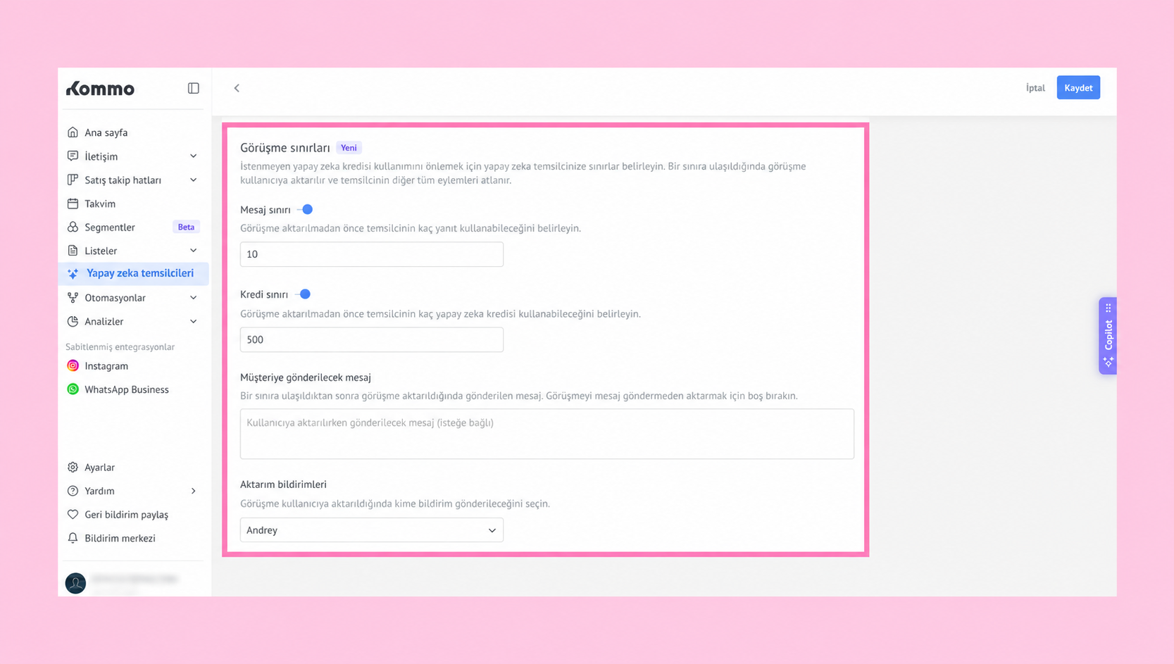Settings page for AI representatives with message and credit limits specified.