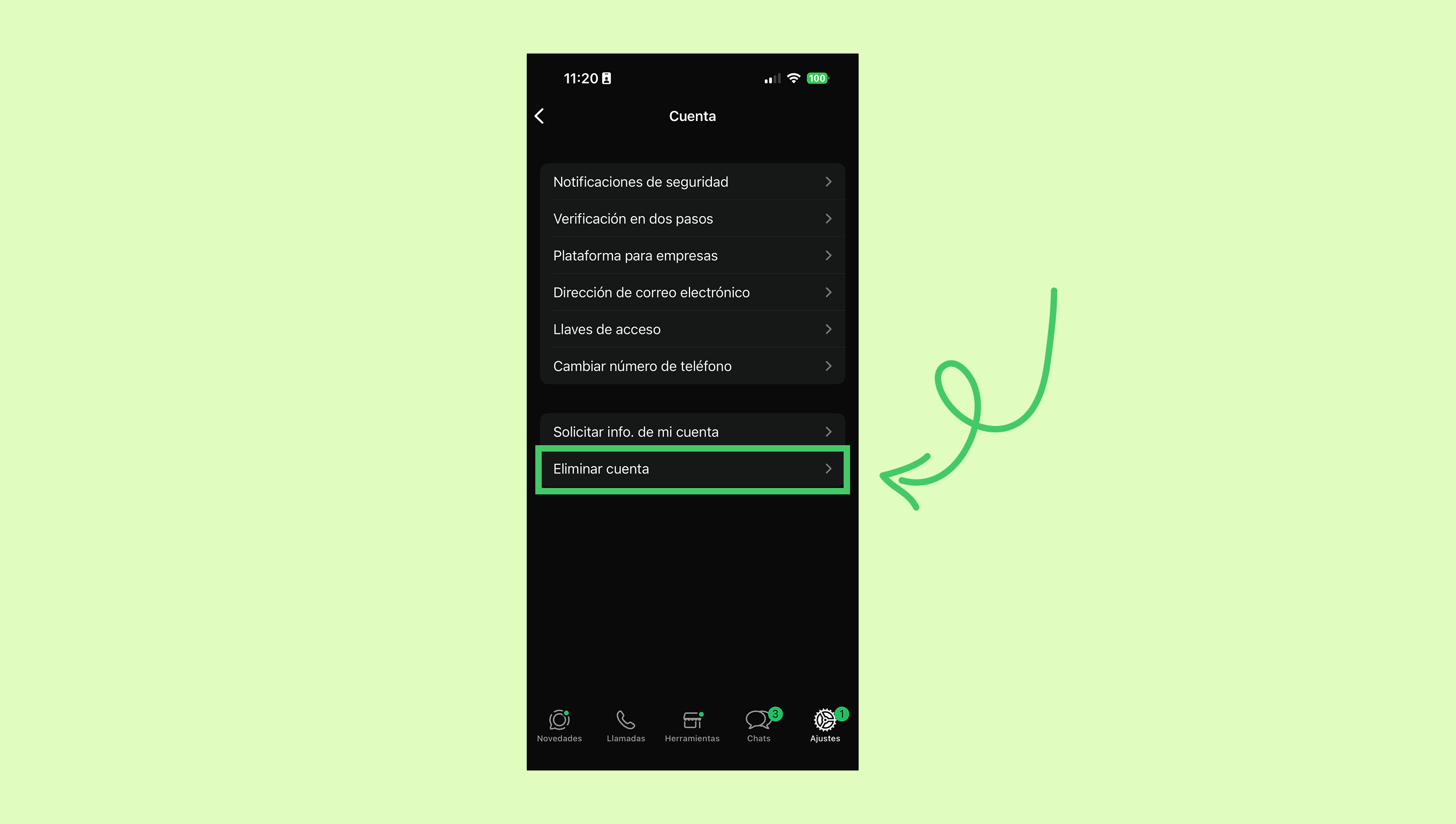 Settings menu displaying account deletion option highlighted for user action.