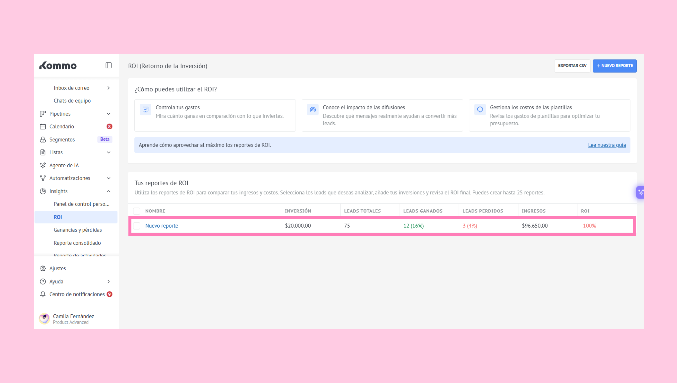 ROI report section displaying investment, leads, and income metrics for analysis.