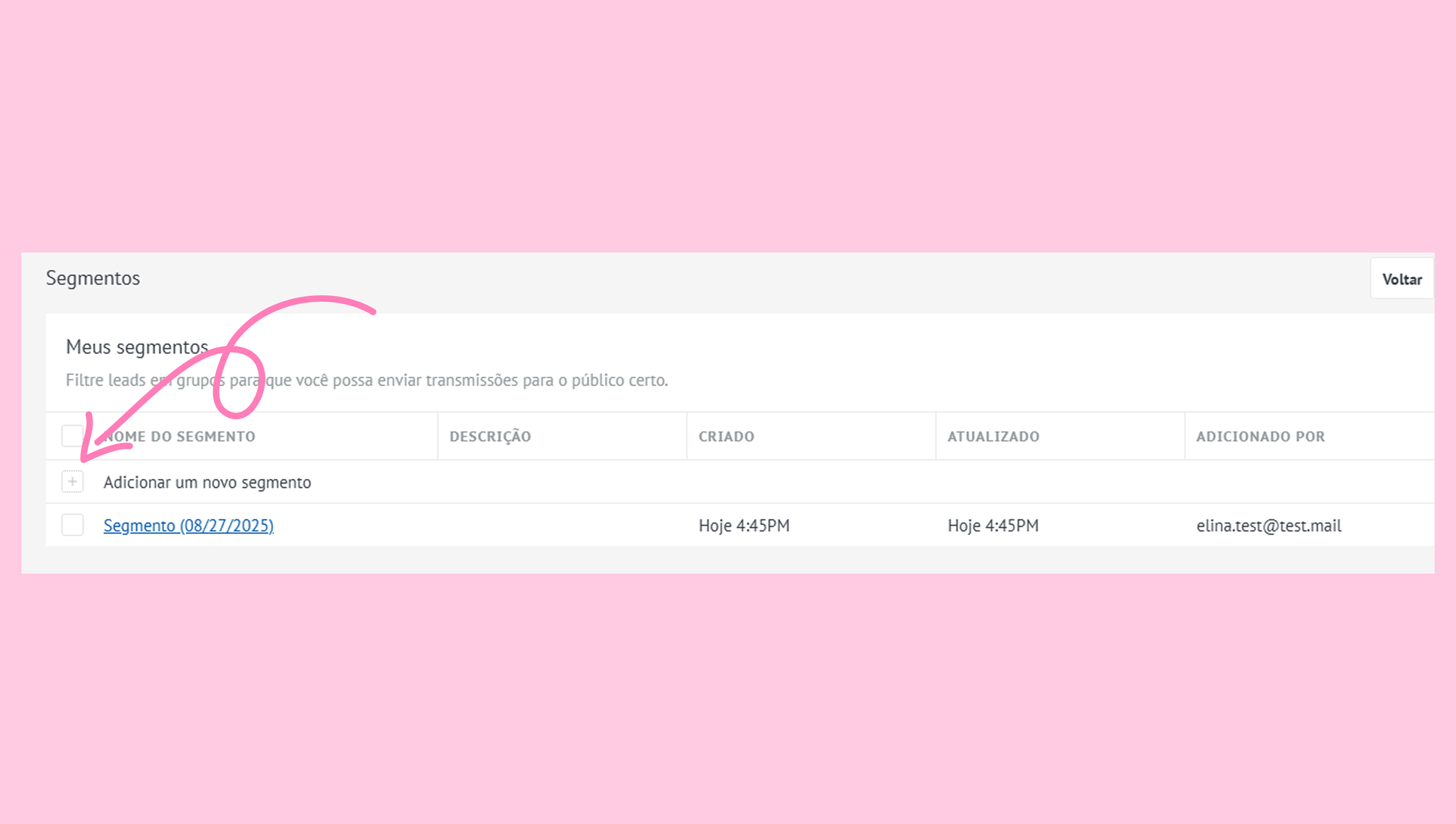 User interface displaying segments with options to add and manage leads effectively.
