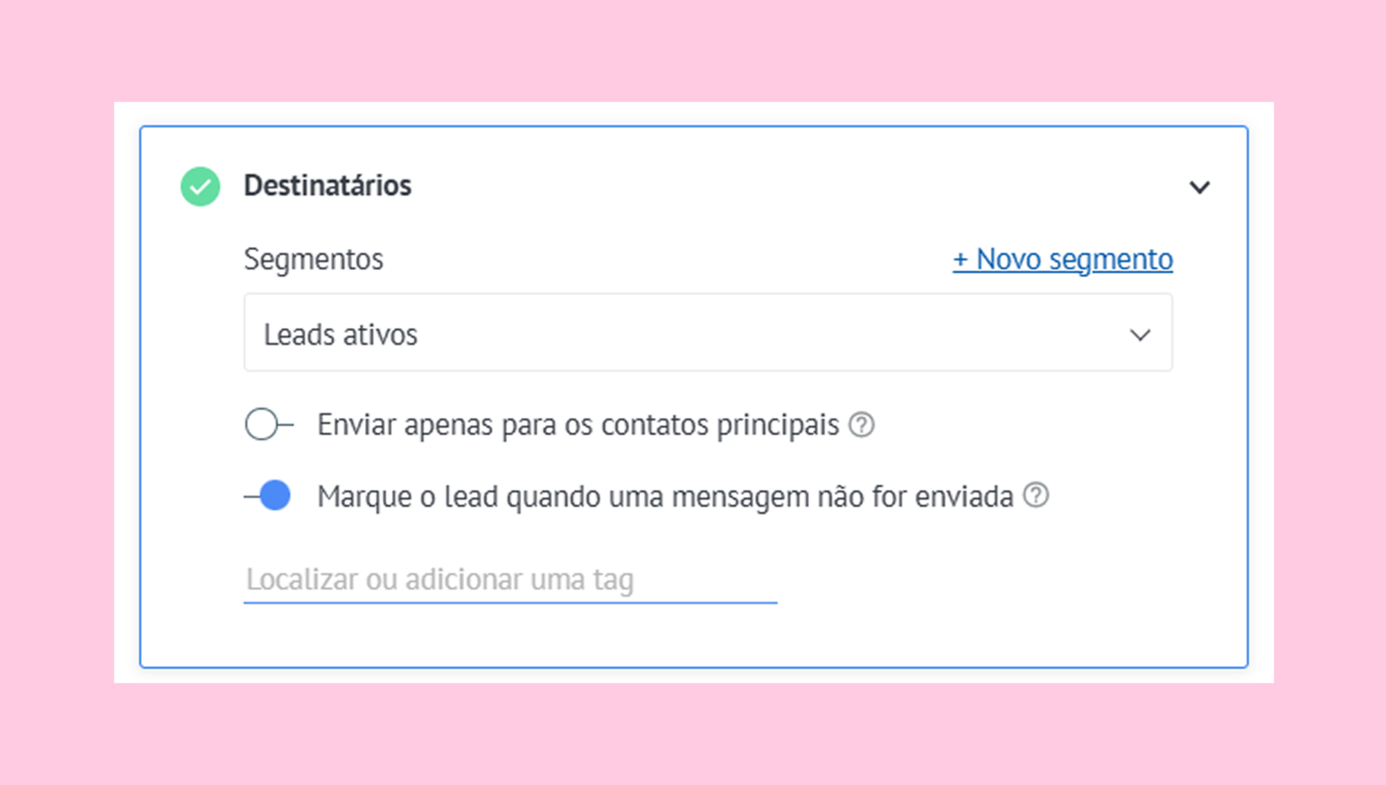 Settings for active leads with options for message delivery preferences and tagging.