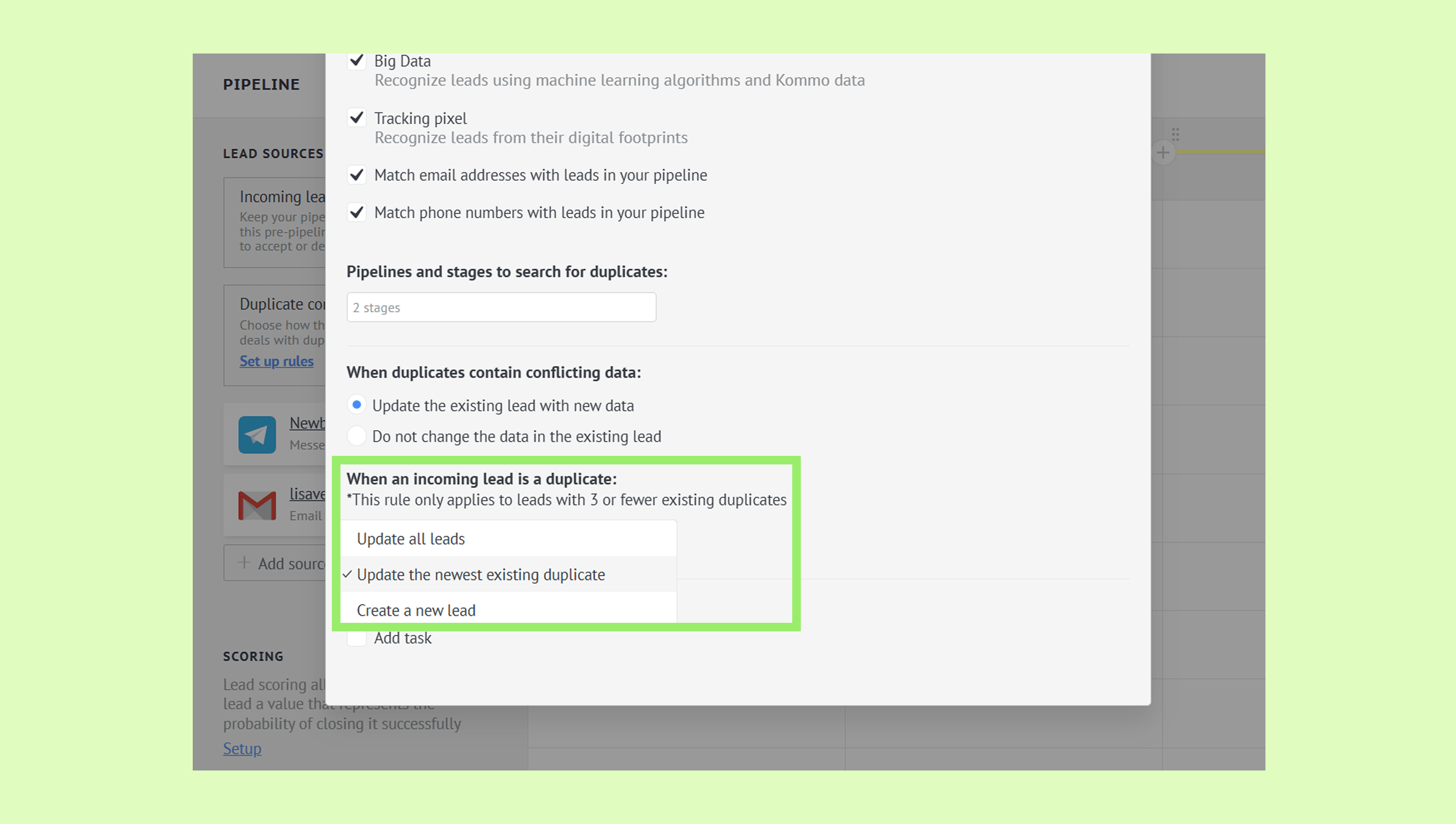 Settings for handling duplicate leads in a lead management system interface.