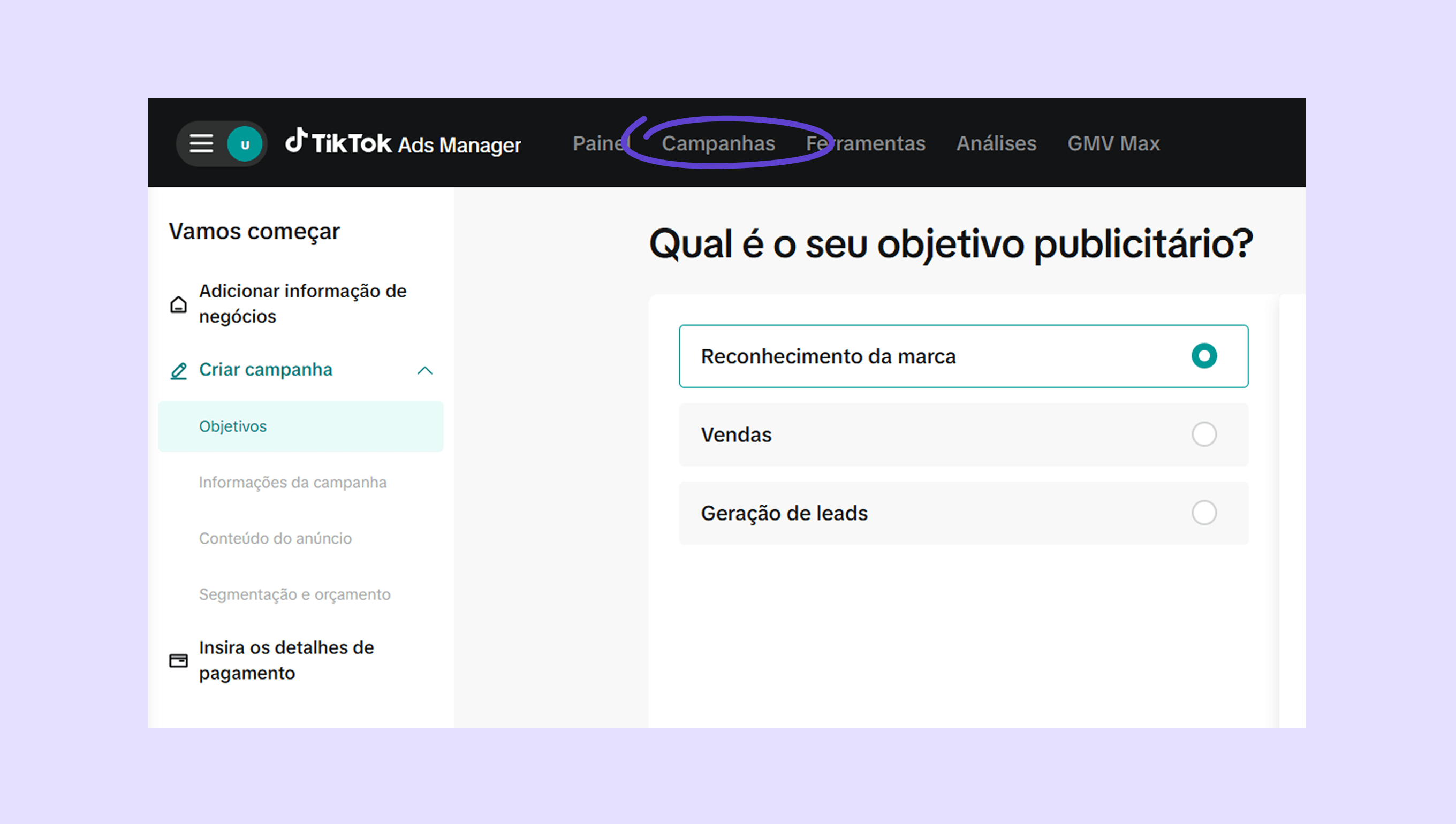 TikTok Ads Manager interface showing campaign objectives and options for brand recognition.