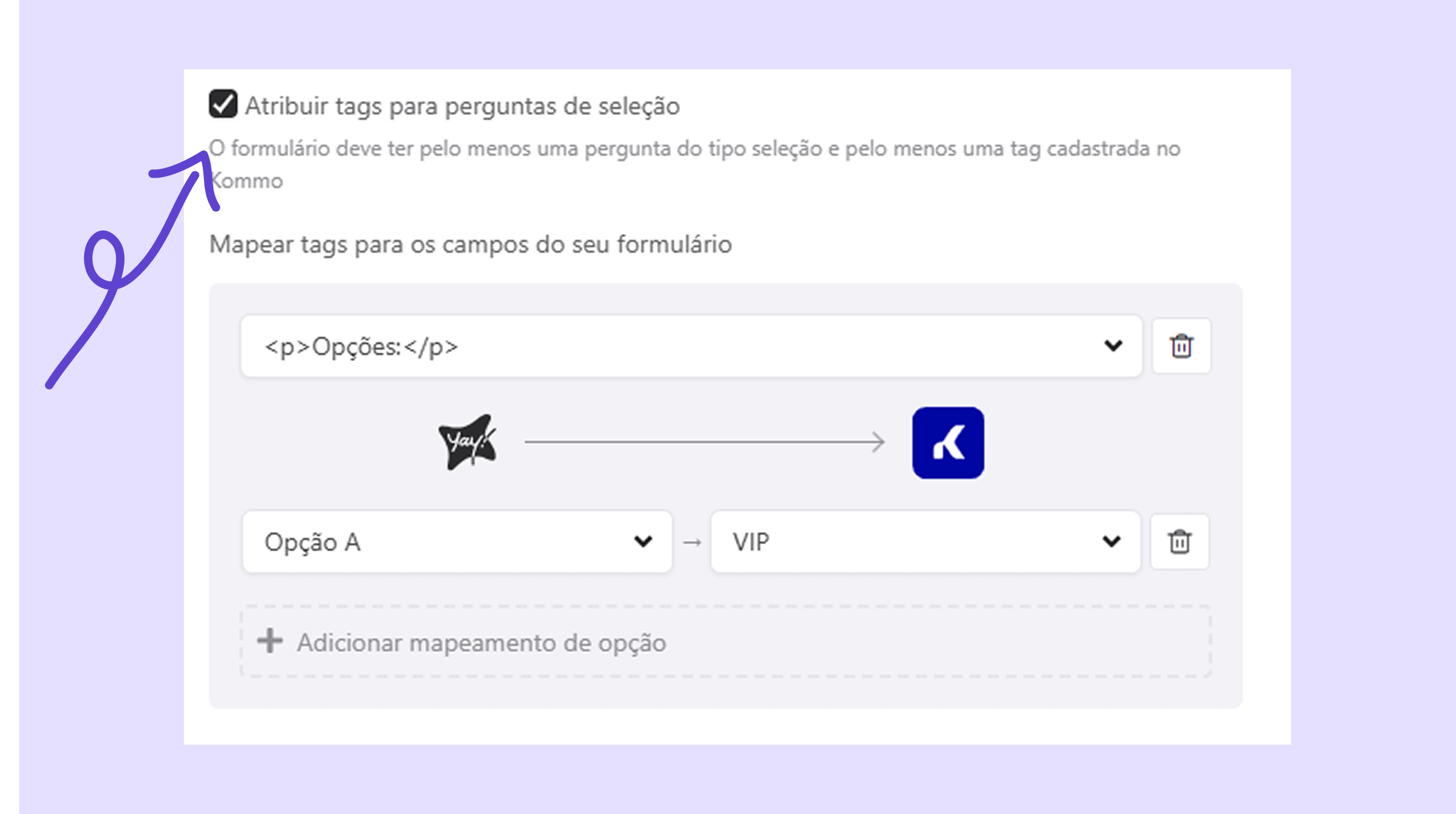 Form for assigning selection tags with highlighted instructions and options mapping.